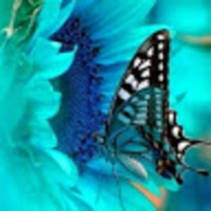 Meet your Posher, Christinai